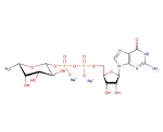 Guanosine 5′-diphospho-β-L-fucose disodium salt, GDP-L-Fuc
