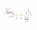 Uridine 5′-diphospho-N-acetylgalactosamine sodium salt, UDP-GalNAc
