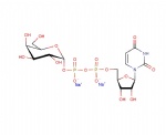 Uridine 5′-diphospho-galactose disodium salt, UDP-Gal