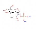 N-Acetyl-alpha-D-glucosamine-1-phosphate disodium salt, GlcNAc-1-P